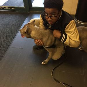 Meet your Posher, Paul